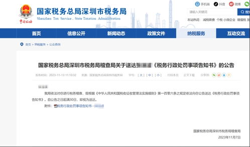 金融圈刷屏 两年薪酬9800万 一私募风控负责人火了 两年偷逃税3200万 税务局出手了